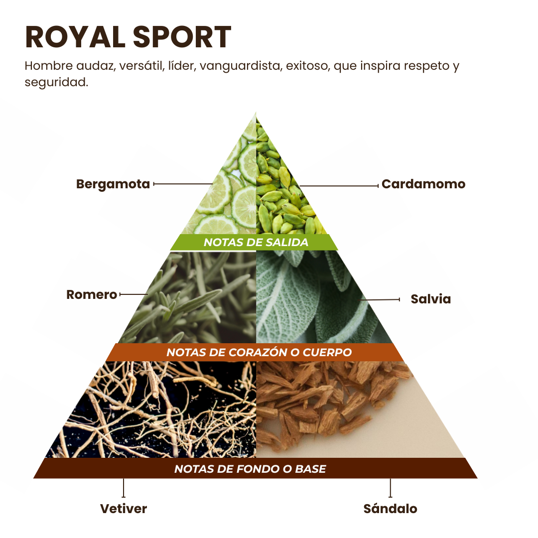 Pirámide olfativa Royal Sport